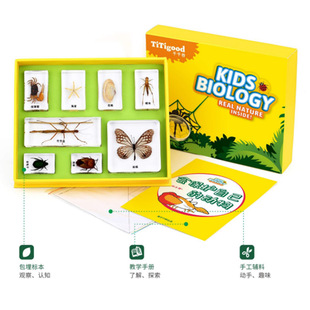 天然昆虫标本树脂 海洋动物树脂标本 独角仙金龟子螃蟹真虫幼儿园