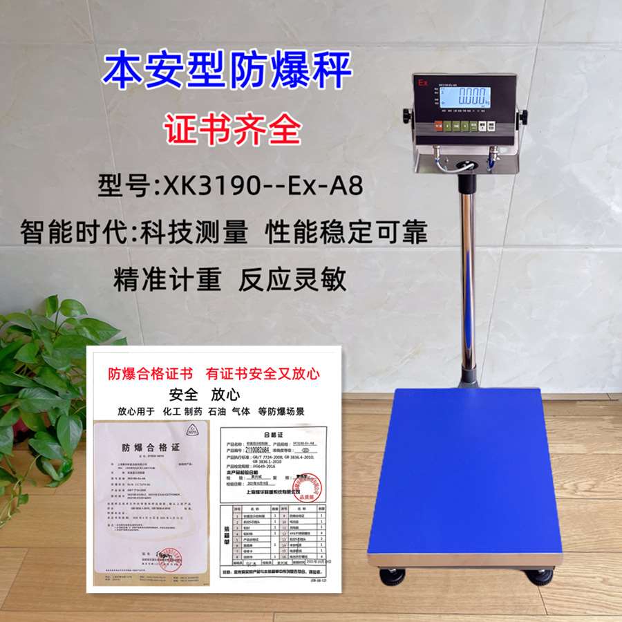本安型防爆台秤100kg300公斤电子防爆称化工防爆称200kg电子秤1g