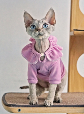 无毛猫衣服春秋纯棉弹力粉紫色花瓣领衣服耐舔斯芬克斯德文卷毛猫