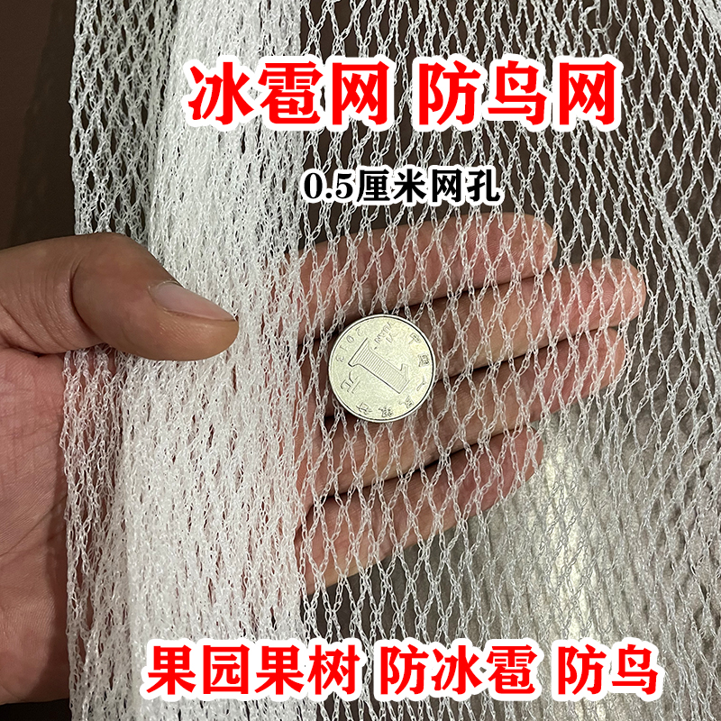防雹网果园防冰雹用的网厂家直销