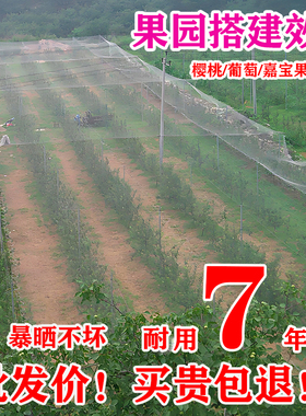 防鸟网果树果园大棚尼龙线防乌网阳台樱桃树葡萄窗户鱼塘用的天网
