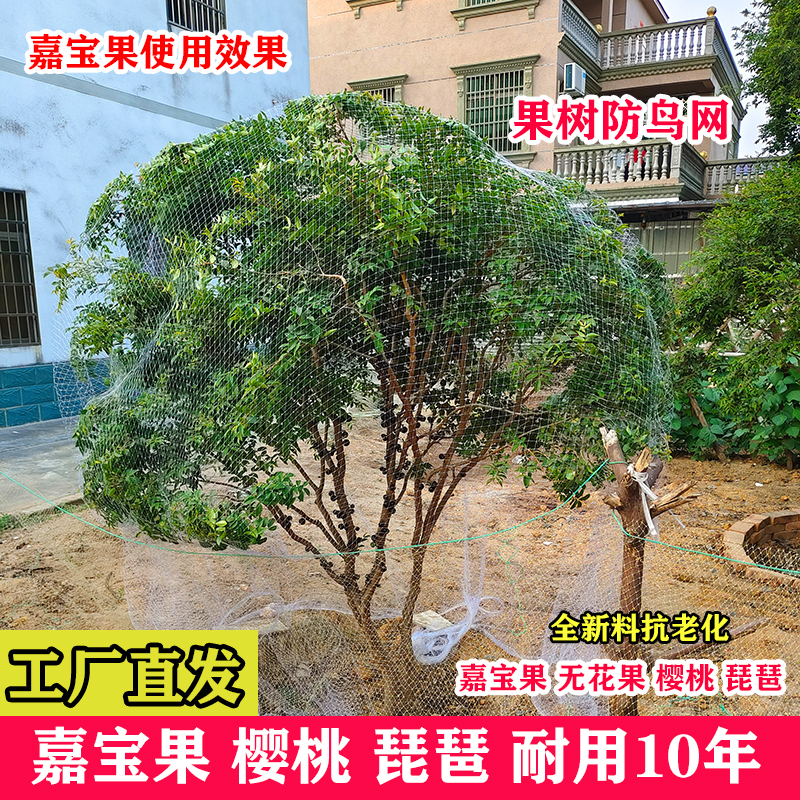果树防鸟用网樱桃树网嘉宝果树防鸟网家用防鸟网防鸟罩果树专用网