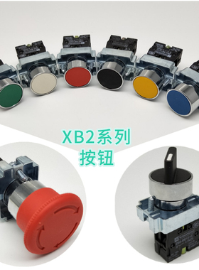 BA42平头自锁带灯选择急停蘑菇头按钮开关XB2BA31 NP2 BD21 BS542