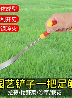 园艺铲挖蒜荠菜铲子花园农具种花除草锄头工具家用户外挖野菜神器