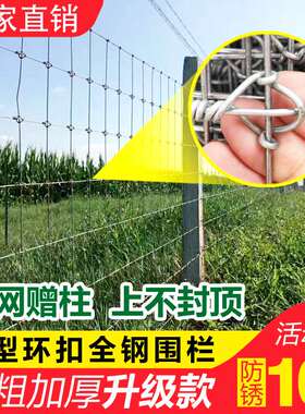 镀锌铁丝网围栏养殖护栏网牛栏网圈果园隔离栅栏养羊钢丝防护网格
