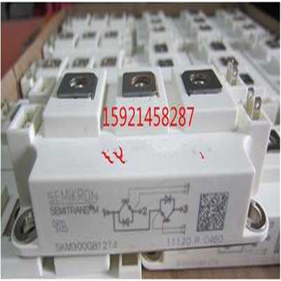 SKM300GB12T4 SKM150GB12T4 SKM200GB12T4（反映电子）