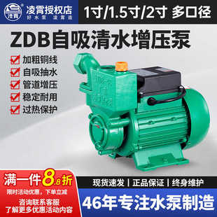 广东凌霄水泵1ZDB35 65型自吸清水泵家用自来水增压泵抽水机