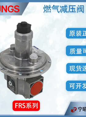DUNGS减压阀FRS505 507 515 520 5065 冬斯调压阀天然气稳压阀