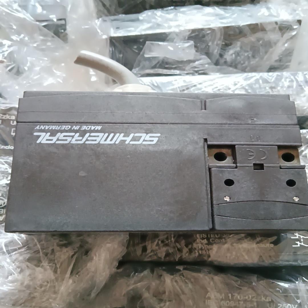 德国施迈赛安全开关AZM170-02ZRK A AZM170(崽崽配件）