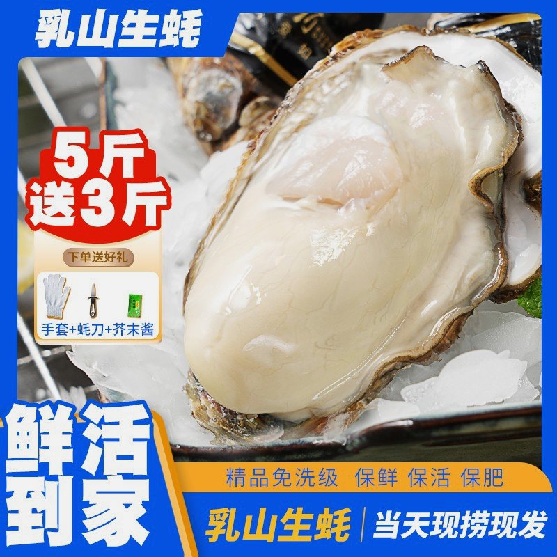 乳山生鲜店5斤送5斤正宗乳山生蚝包活新鲜牡蛎大特大海蛎子海鲜水