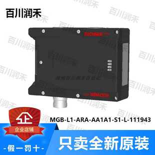 ARA AA1A1 euchner德国安士能MGB 111943锁止模块 议价