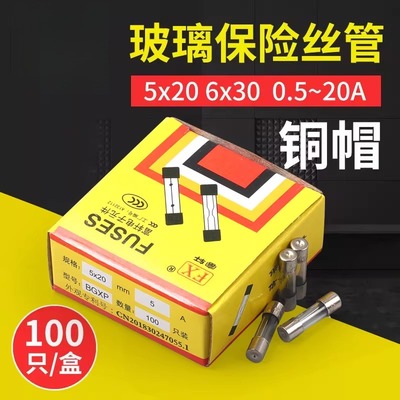6x30mm玻璃保险丝100只装