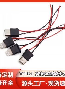 TYPE-C连接器2P焊线式公头注塑成型带线移动电源苹果充电宝专用头