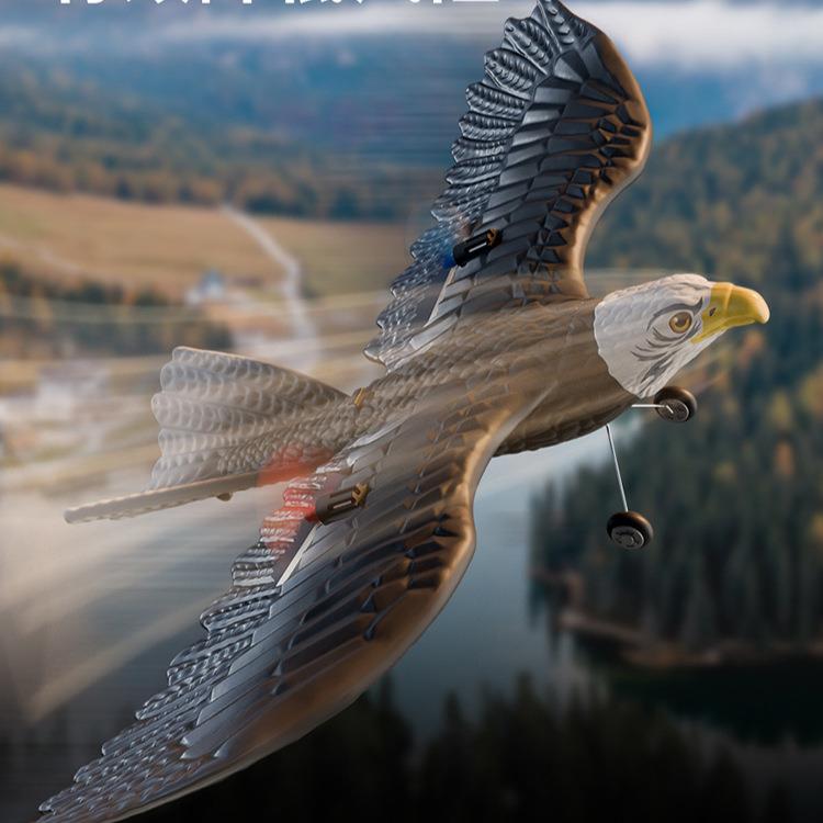 新款鹰型遥控飞行器海陆空三栖遥控滑翔机澄海儿童玩具飞机模型