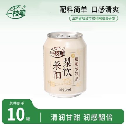 一枝笔枇杷莱阳梨汁礼盒245ml*20罐装果汁送礼罗汉果饮品健康饮料