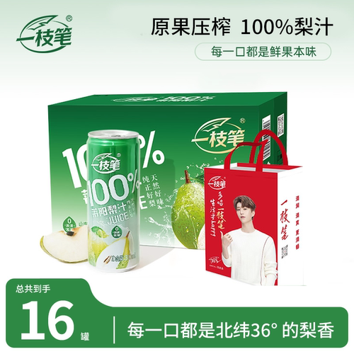 一枝笔莱阳梨汁饮料310ml*16罐