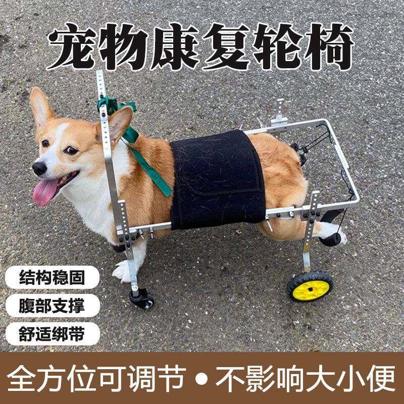 狗轮椅后肢瘫痪康复轮椅代步残疾车老年辅助泰迪宠物狗狗后腿支架
