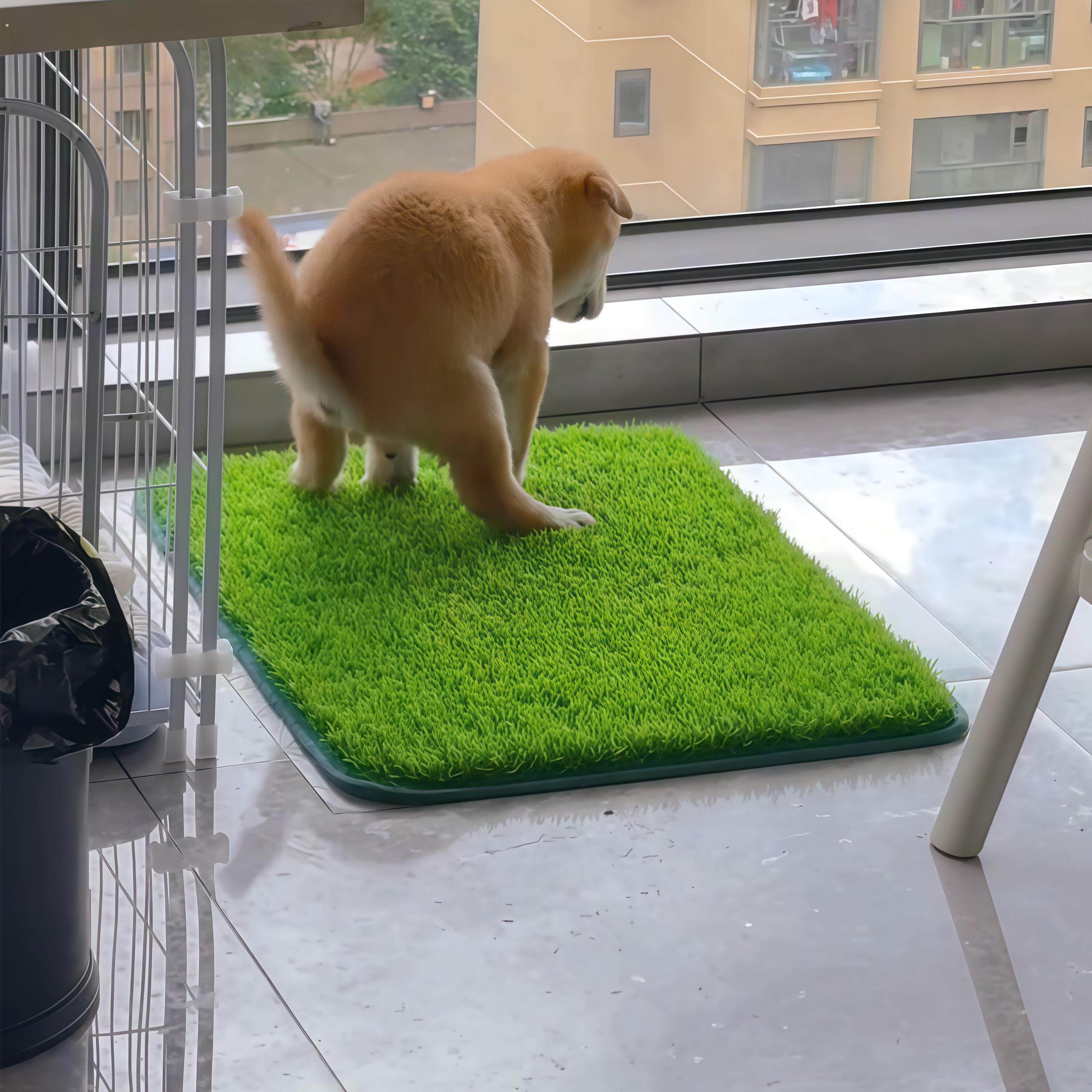 仿真草坪狗厕所狗狗专用定点上厕所诱导尿垫宠物猫咪用固定假草皮