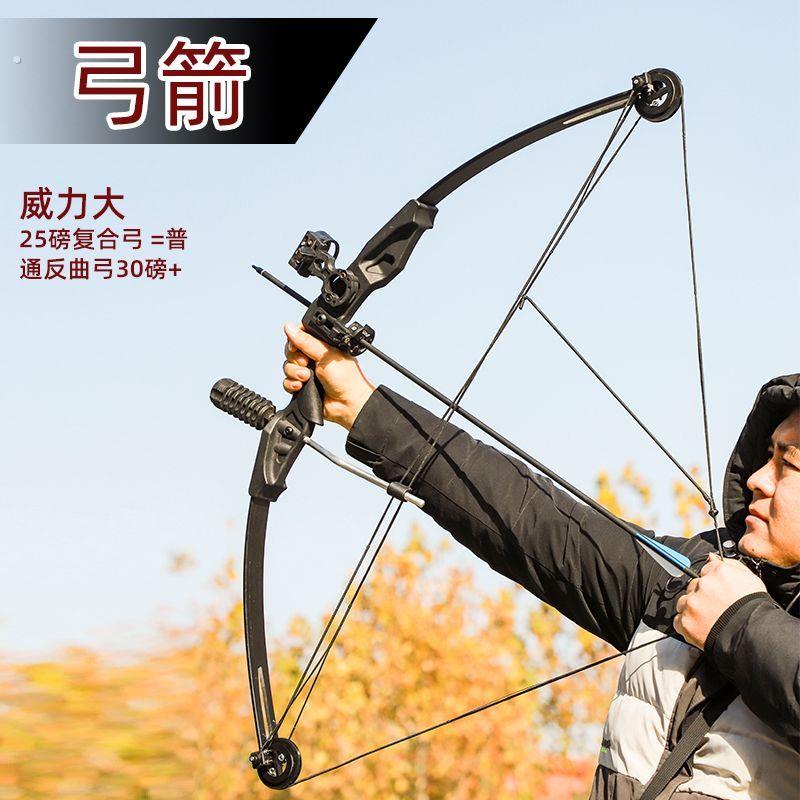 复合弓弓箭射击射箭套装钢珠箭真品可携式成年人一整套弓闪电狼弓
