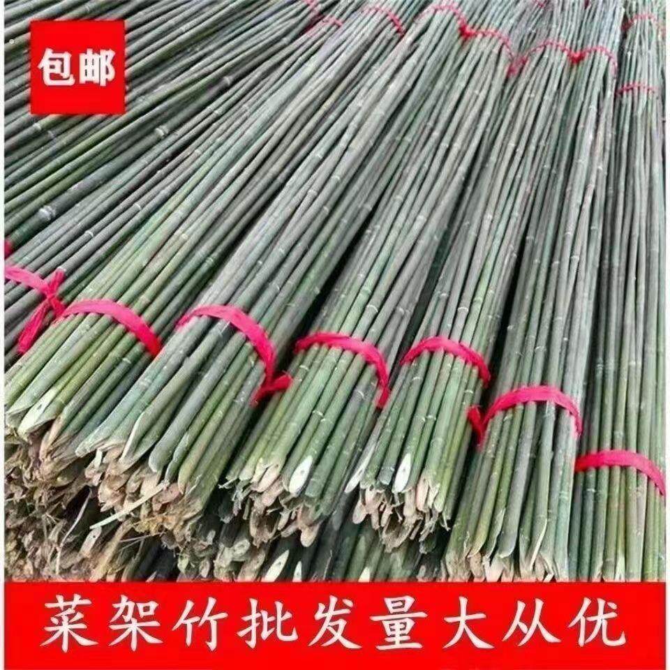 竹竿菜园搭架竹子户外棋杆黄瓜豆角爬藤菜架竹杆支架豇豆搭架杆