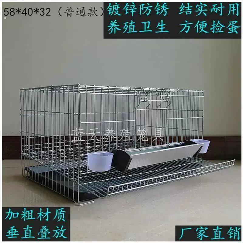 鹌鹑笼家用 下蛋鹌鹑笼 鹌鹑养殖 大号加粗 自动滚蛋 鸟笼养殖笼