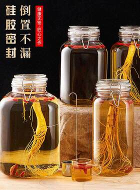 青梅泡酒专用酒瓶家用大容量分装瓶家用酿酒瓶青梅果酒自酿储酒瓶