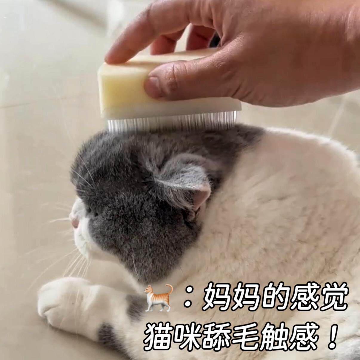 仿猫舌猫咪梳子幼猫社会化训练互动道具新手养猫道具软毛按摩刷子