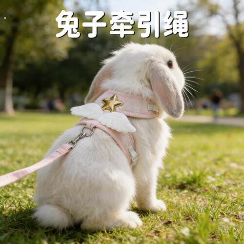 兔子牵引绳外出专用遛兔子防挣脱可调节小型侏儒兔背心式宠物用品