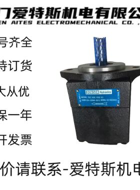 丹尼逊DENISON叶片泵T6CCM B28 B10 1L23 D111油泵现货
