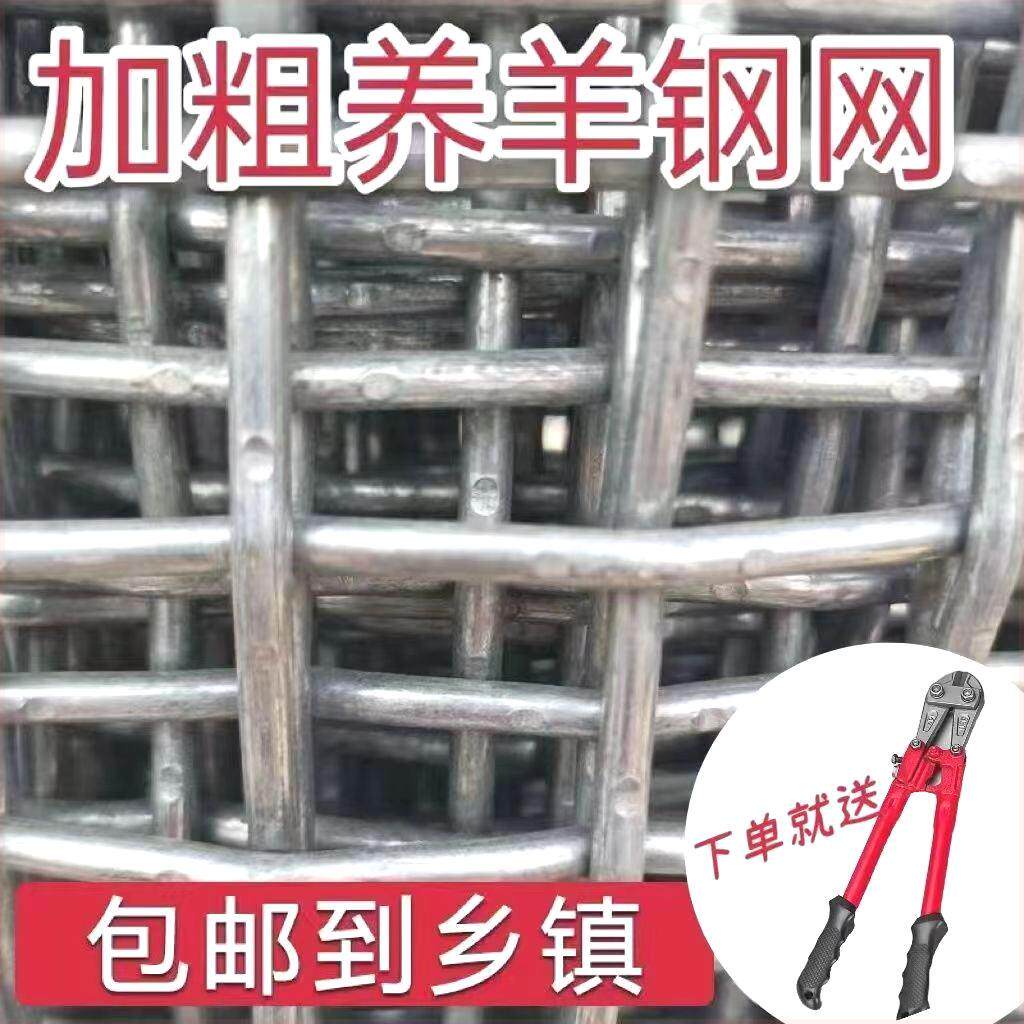 羊床钢丝网镀锌网编织网养羊钢丝网羊床网鸡鸭鹅床网养殖漏粪网