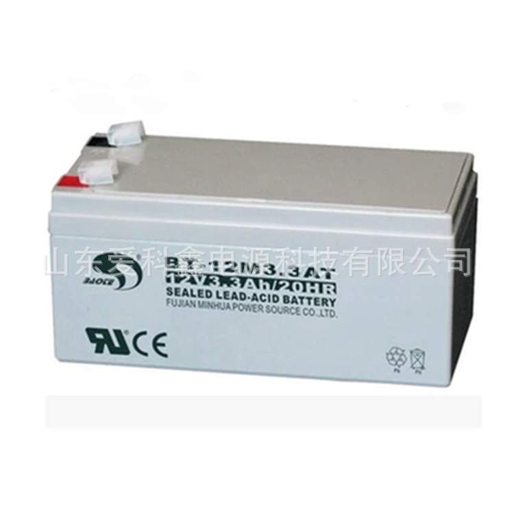 赛特BT-6M10AC 6V10Ah/20HR 吊秤童车电瓶免维护铅酸蓄电池