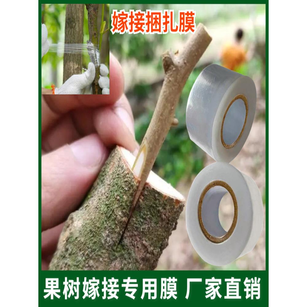 嫁接膜专用膜PE无需打结薄膜3cm嫁接绑带果树苗木包扎带5宽自粘膜