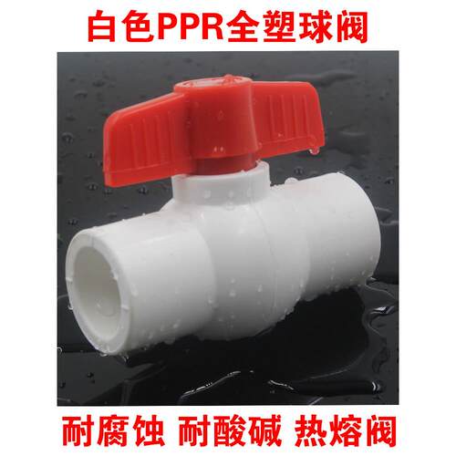 白色PPR全塑球阀耐腐蚀酸碱化工用20 25 32 40 50 63水管热熔开关