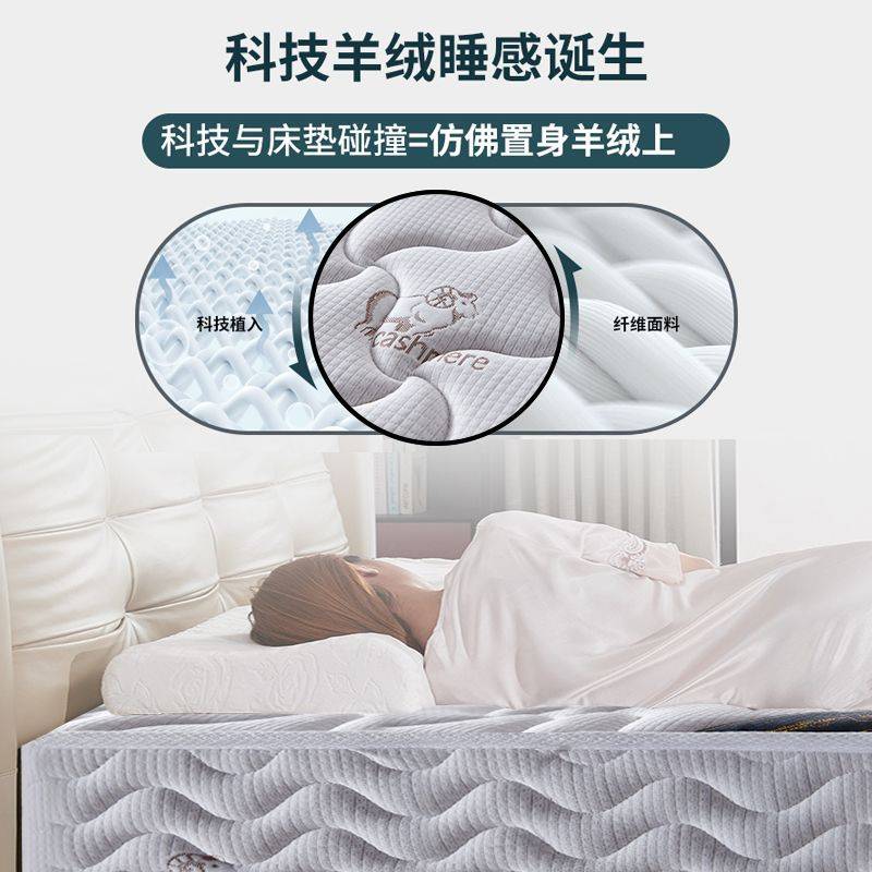 席梦思床垫家用软硬两用20厚双人1.8米1.5出租房经济型弹簧床垫