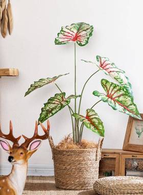 真绿植仿假物盆栽220607小彩叶客厅家居沙发轻奢装芋饰室内落地盆