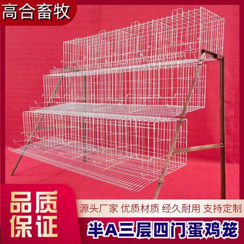 A阶梯蛋鸡笼家用鸡半舍EHF头冷镀方管角铁食槽水槽源工厂现货现发