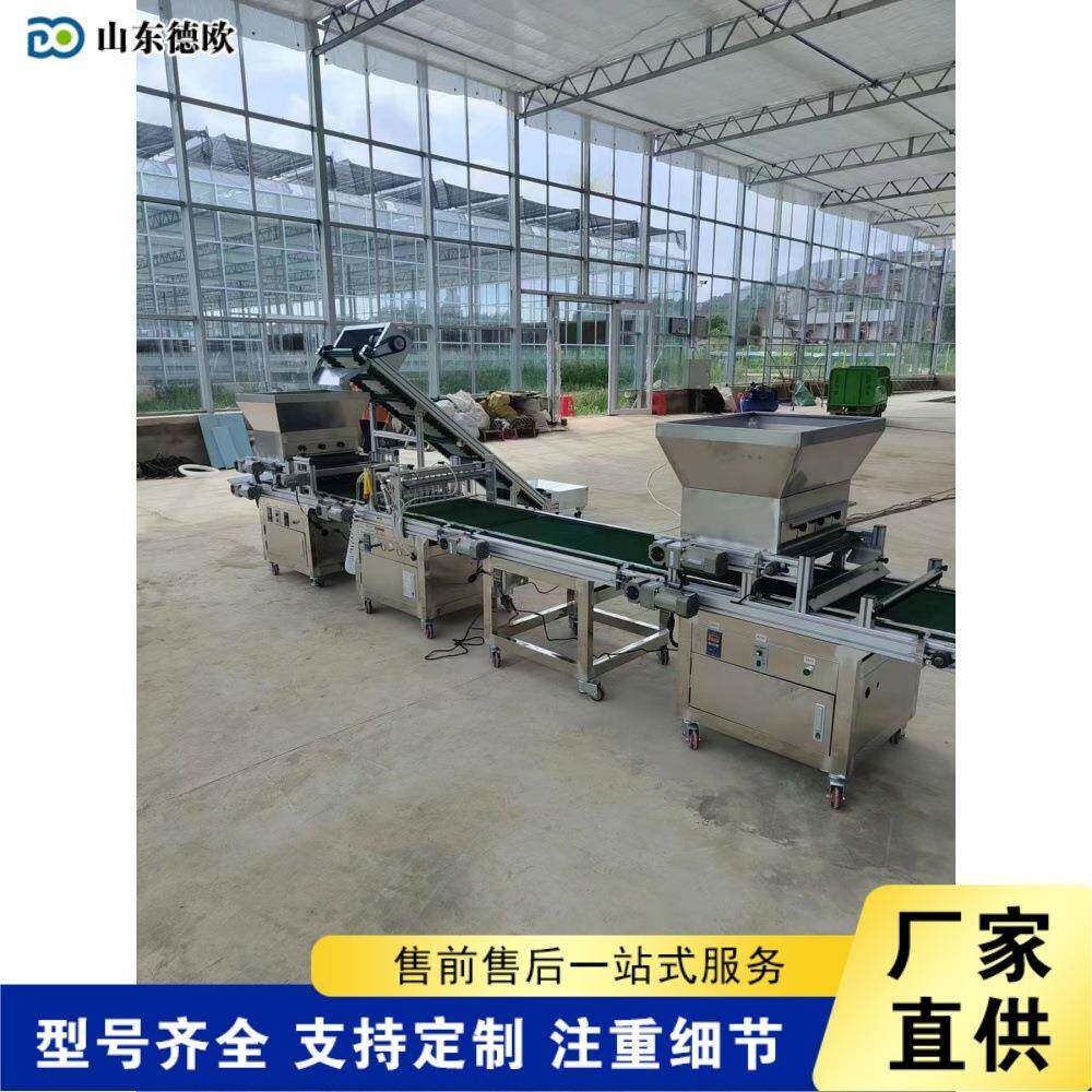 点全自动光电感VFZ应播种大棚蔬菜花育苗播机穴卉盘育种覆土机压