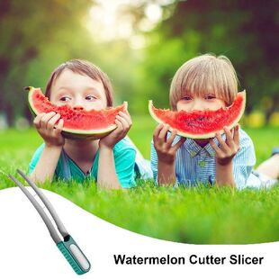 Cutter Watermelon Slicer Gadgets Cutt Kitchen 极速Watermelon