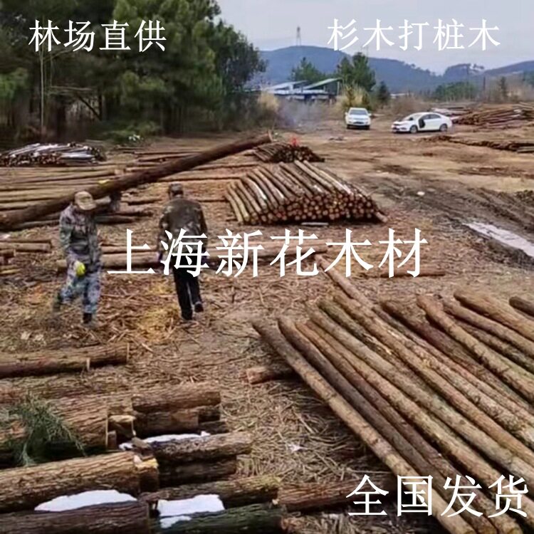 现货直供 杉木桩3米 4米 6米绿化支撑木工地河堤防洪削尖打桩木桩