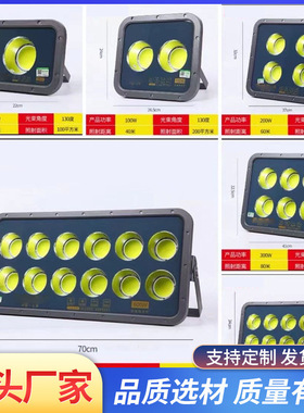 led投光灯50w1020户外防水超亮泛光灯射灯工程防雷灯3060