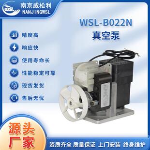 WSL-B022N高温真空泵耐高温气体采样真空泵微型真空隔膜泵