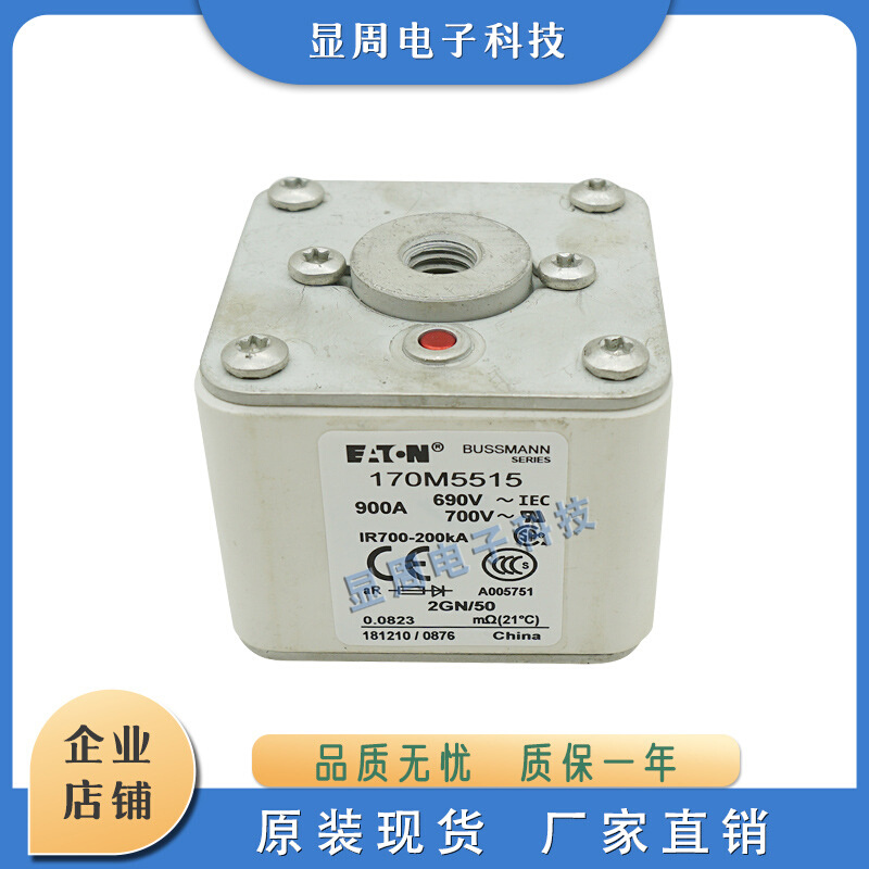全新保险丝熔断器170M5596 170M5597 170M5598 170M5608 170M5609