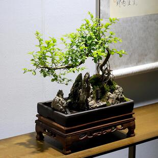 小雀石梅山水假山盆景植物造室型老叶桩内客厅办公室绿植茶屹林盆