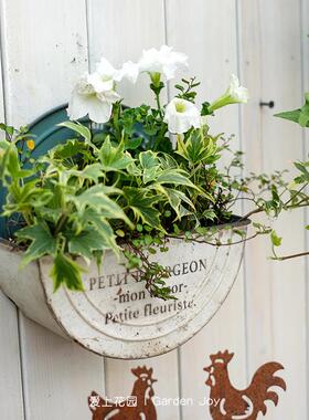 爱花园SP22055B 园杂货壁铁艺铁皮做旧花盒圆形壁挂半圆1879挂艺