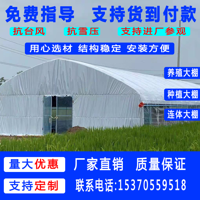 销养殖大棚钢管骨架椭圆管钢架温室大棚养猪养羊养鸡场鸡舍鸡棚厂