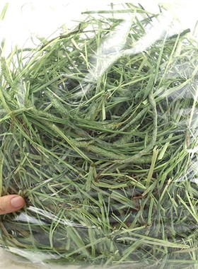 2021 timothy grass hay forage grass rabbit rabbit food