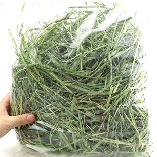 2021 timothy grass hay forage grass rabbit rabbit food