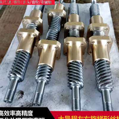 新品新品大导程左右旋梯形丝杆304不锈钢丝杠氮化处理螺杆特殊定