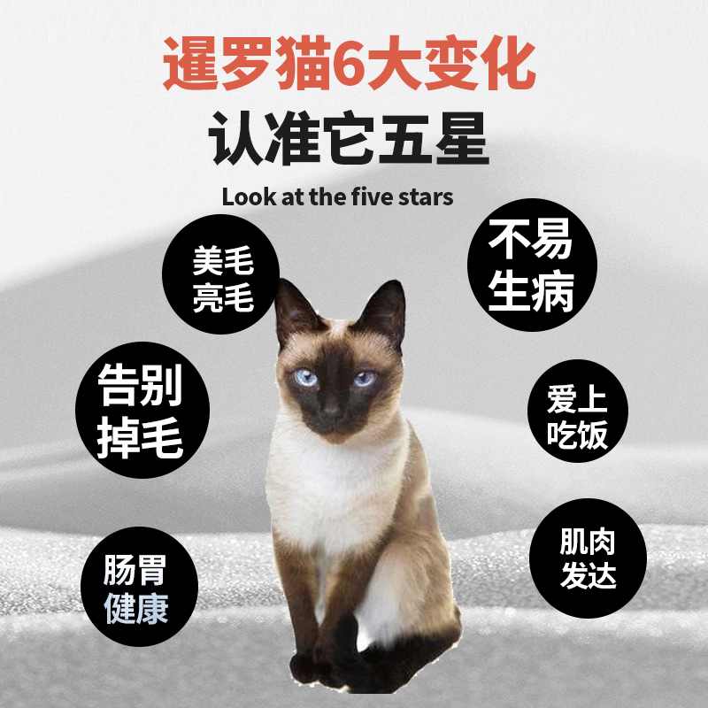 泰国泰国猫专用无谷猫粮主食干成幼天然它五星发腮增肥美毛亮毛