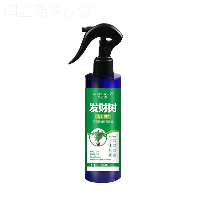 发财树肥料专用肥治叶子发黄掉叶黄叶枯叶烂根营养液发财树怎么养